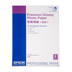 Epson Premium Glossy Photo Paper, foto papír, lesklý, bílý, Stylus Photo 890, 895, 1270, 2100, A2, 255 g/m2, 25 ks, C13S042091, in