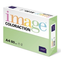 Xerografický papír Coloraction, Forest, A4, 80 g/m2, pastelově zelený, 500 listů, vhodný pro inkoustový tisk