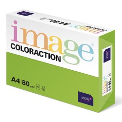 Xerografický papír Coloraction, Java, A4, 80 g/m2, středně zelený, 500 listů, vhodný pro inkoustový tisk
