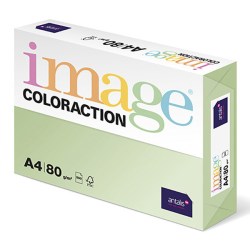 Xerografický papír Coloraction, Jungle, A4, 80 g/m2, světle zelený, 500 listů, vhodný pro inkoustový tisk